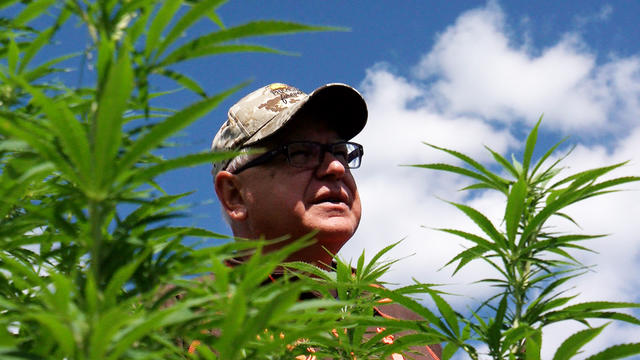 Tim-Walz-At-Hemp-Farm.jpg 