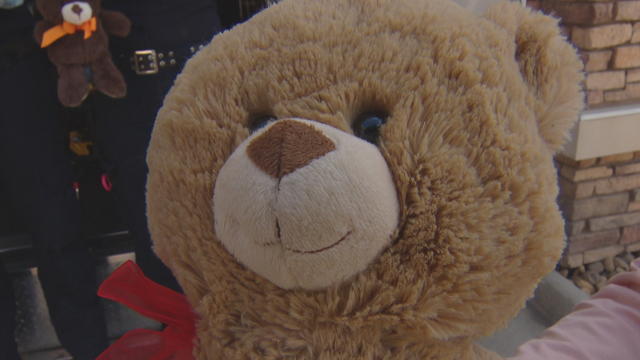 Teddy-Bear-1.jpg 