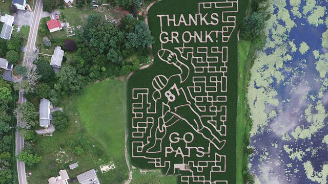 thanks-gronk-corn-maze.jpg 