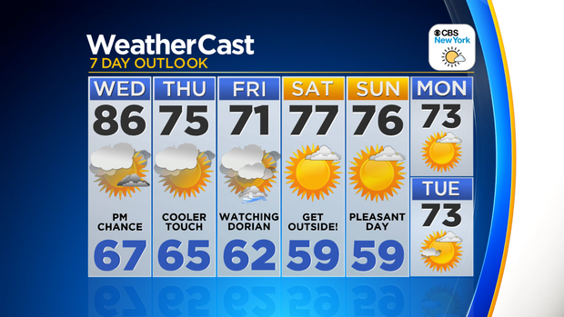 Nu_Tu_7Day_Auto_Logo 