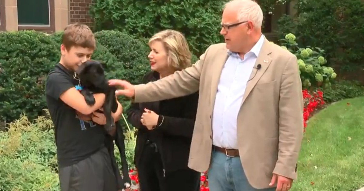 Meet Minnesota's 'First Dog'! - CBS Minnesota