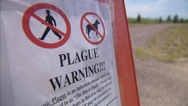 plague-warning-sign.jpg 
