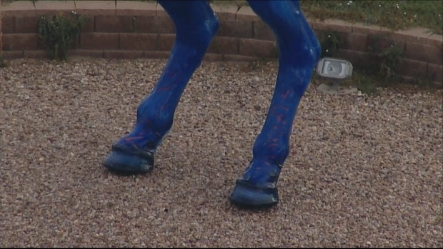 BLUCIFER DAMAGED_frame_390 