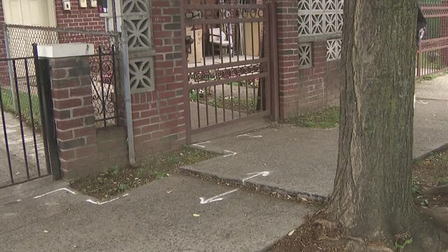 city-sidewalk-tree-damage.jpg 