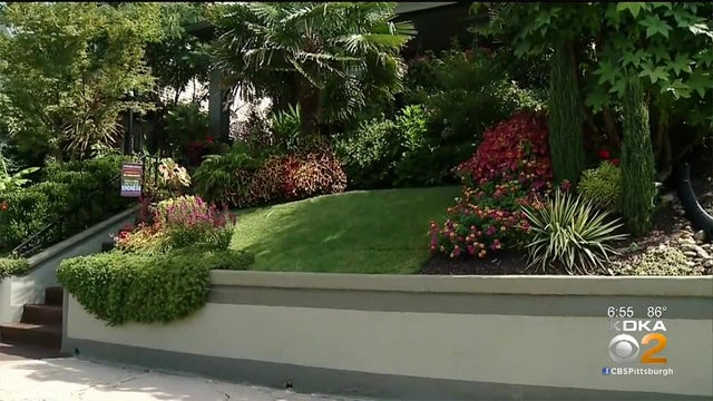 best-lawn.jpg 