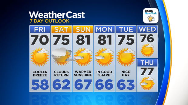 Nu_Tu_7Day_Auto_Logo 