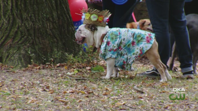 MUTTSTRUTT.jpg 