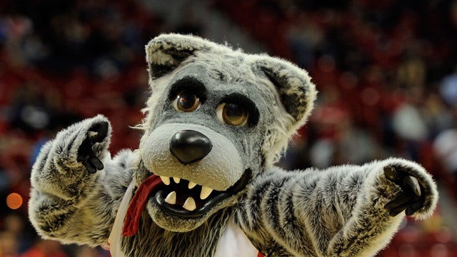 Albuquerque Cityscape New Mexico 