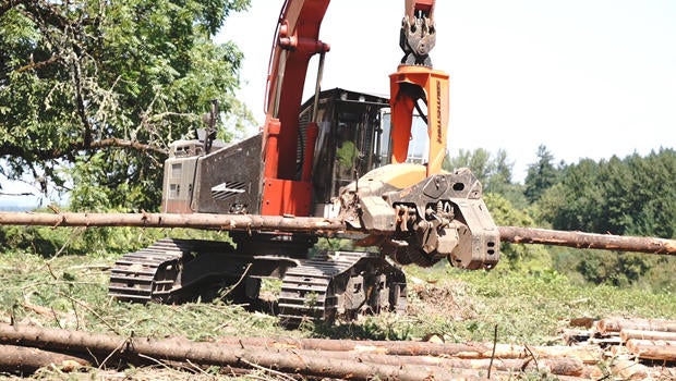 logging-620.jpg 