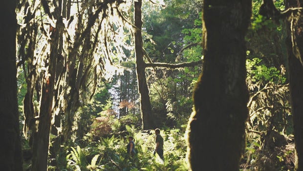 chandra-legue-of-oregon-wild-with-jeff-glor-in-old-growth-forest-620.jpg 