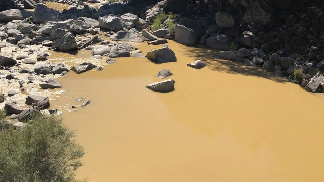 south-yuba-river-yellow.jpg 