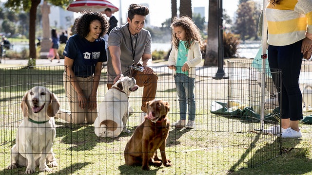 homes-for-dogs-adoption-event.jpg 