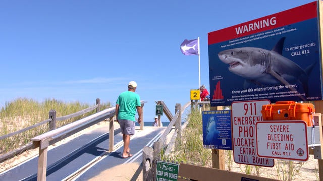 ot-sharks-1942644-640x360.jpg 
