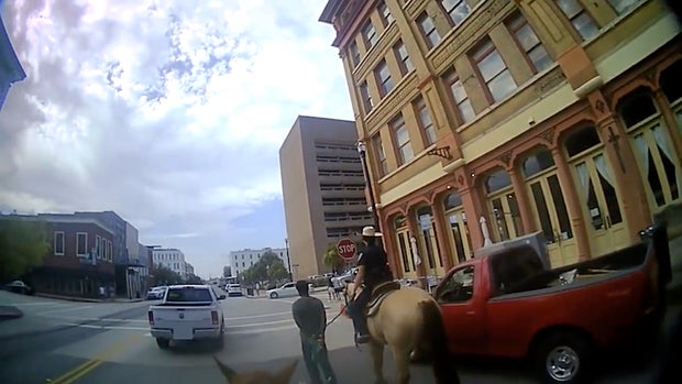 Galveston horseback 1 