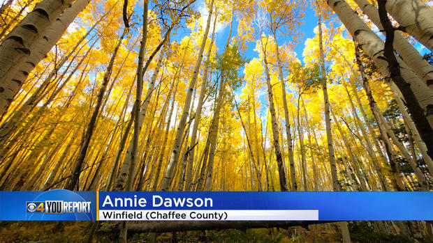 Colorado-fall-colors-2.jpg 