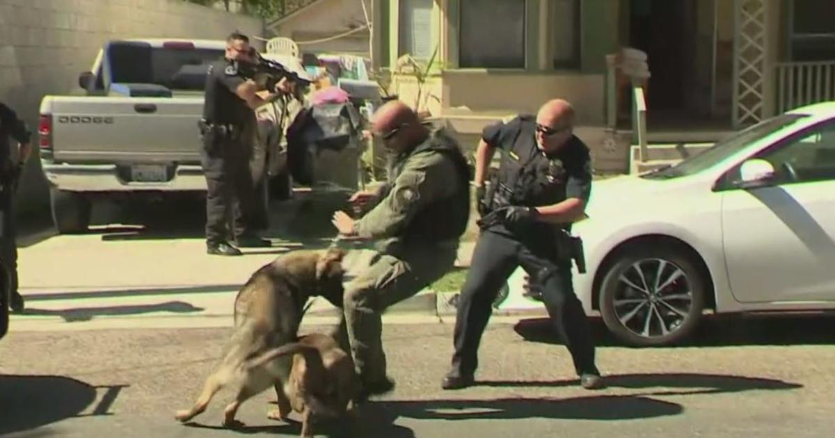pitbull attacks police
