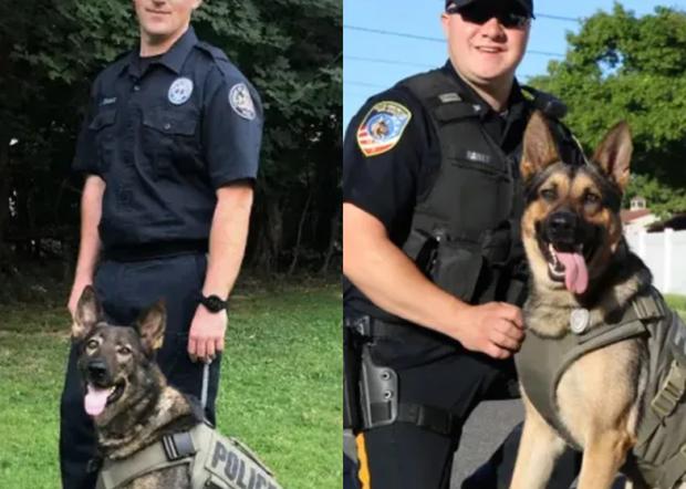 2 Local Police K-9 Units In Running To Win New SUV With K-9 Customization 