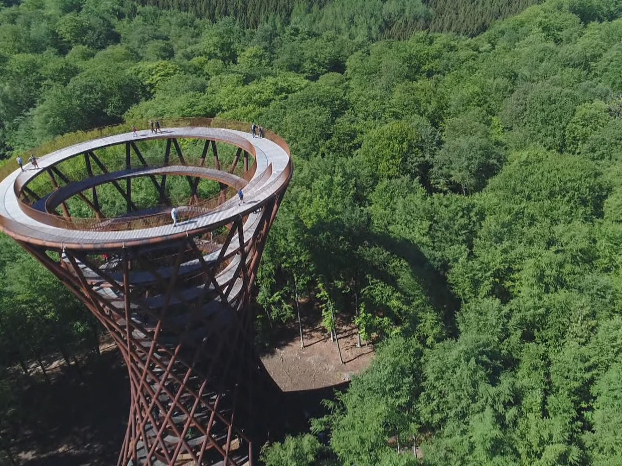 A spiraling walk above the trees - CBS News