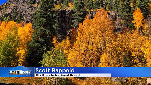 Colorado-fall-colors-1.jpg 