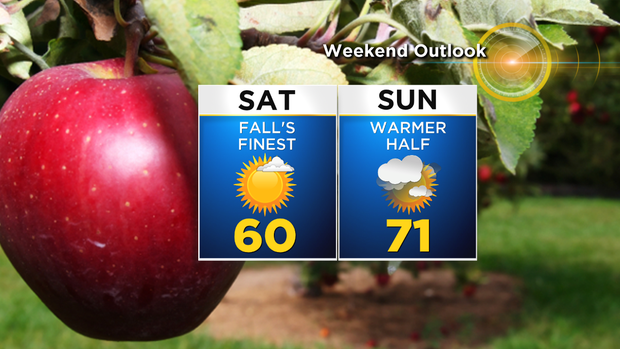 Nu_Tu_Weekend_Planner 