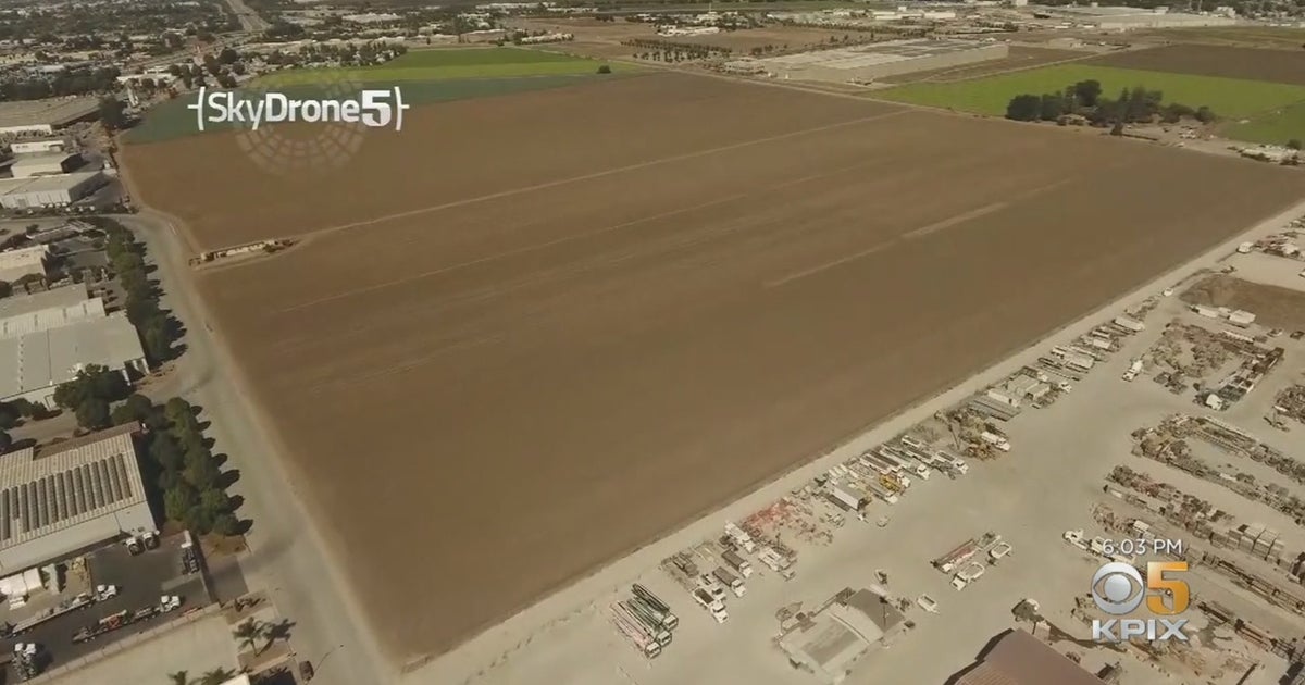 Google Buys Sizable Plot Of Land In Gilroy To Use As Tree Nursery CBS