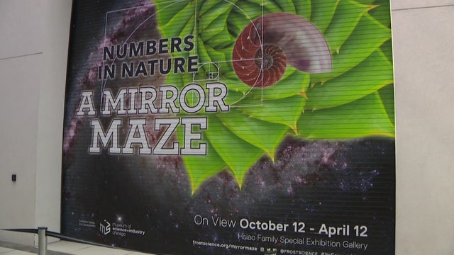 Frost-Museum-Mirror-Maze-PKG.jpg 