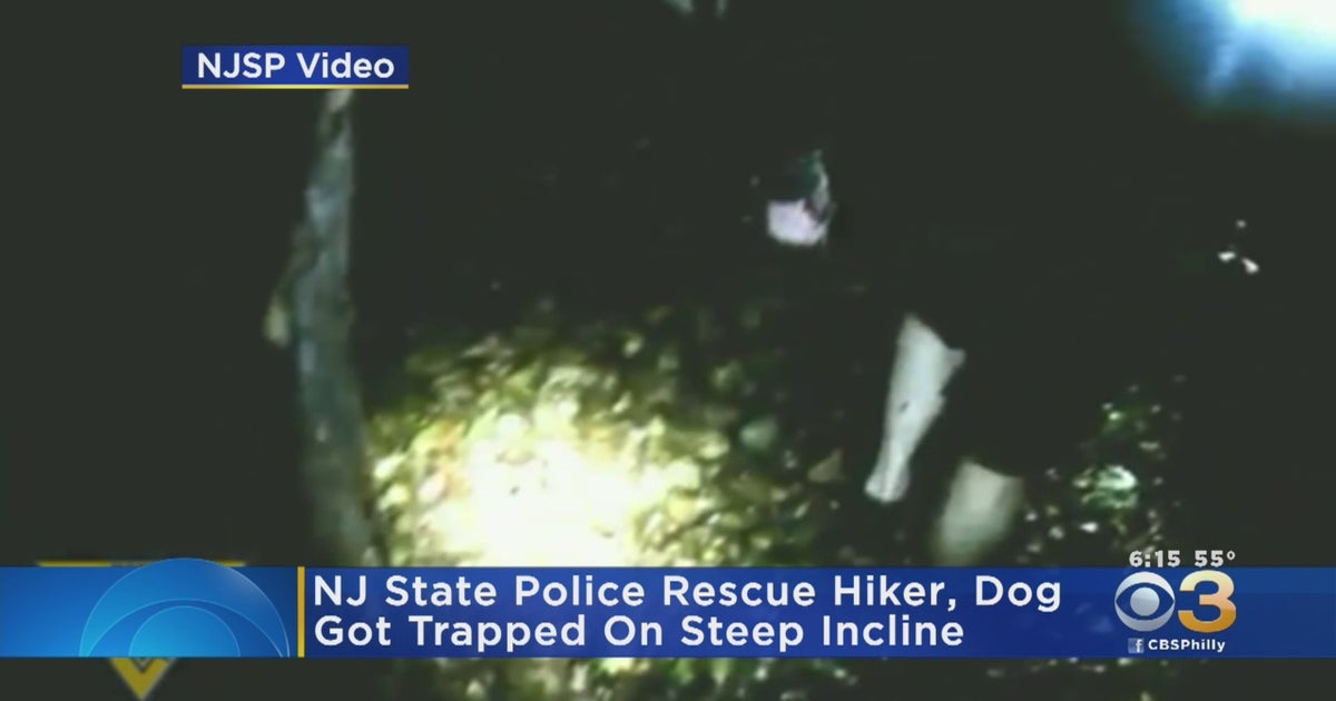 New Jersey State Police Come To Rescue Of Man, Dog Stranded In Ravine ...
