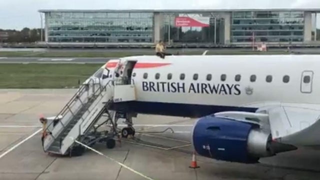 extinction-rebellion-james-brown-climbs-on-plane.jpg 