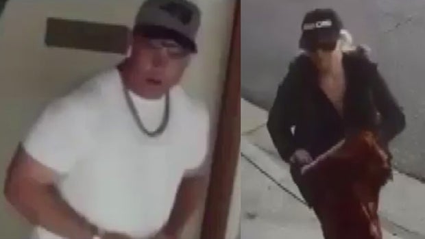 hollywood-hills-robbery