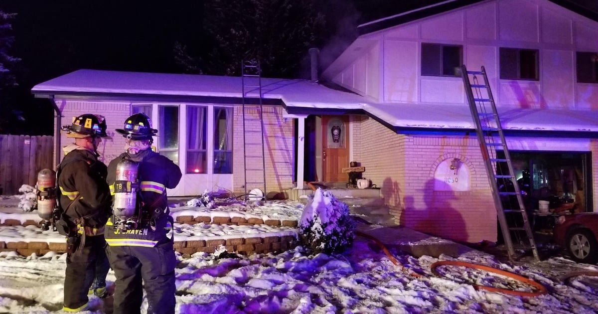 Firefighters Rescue 2 Dogs From Burning Home In Littleton - Cbs Colorado