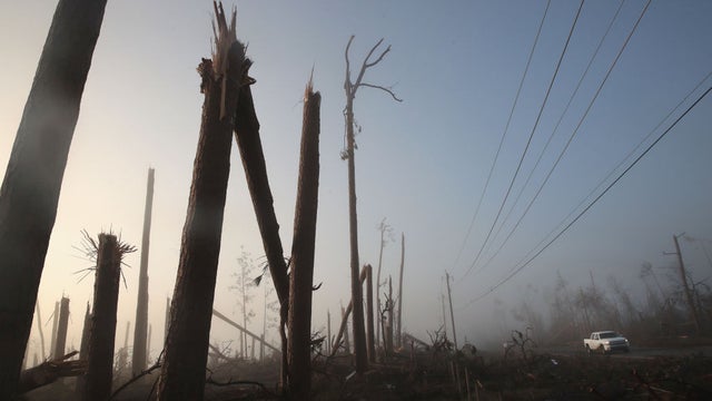 Hurricane-Michael-Trees-Timber.jpg 