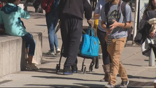 AURARIA CAMPUS HOMELESS 5PKG.transfer_frame_167