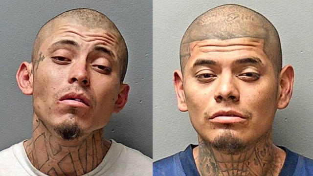 mugshots.jpg 