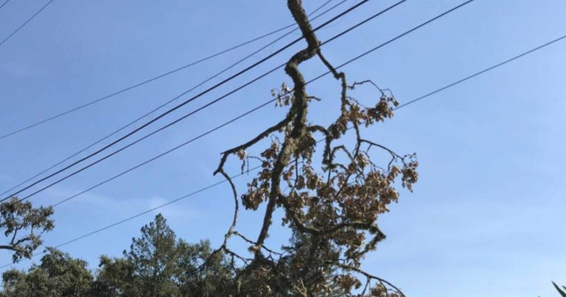 PSPS Update: PG&E Gives 'All Clear' For All Areas; 130 Instances Of ...