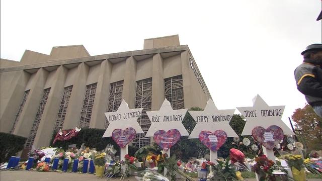 treeoflife-01-1953758-640x360.jpg 