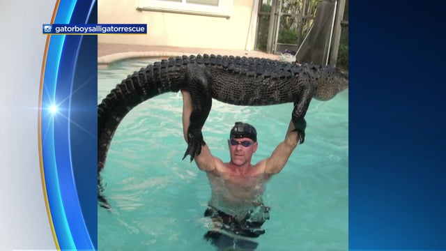 Parkland-Pool-Gator.jpg 