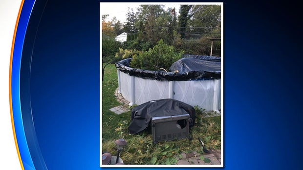 Commack Storm Damage 