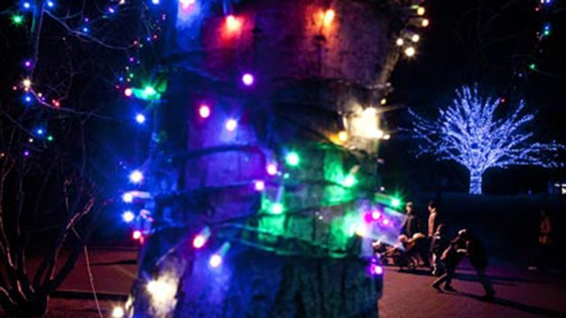 christmaslights_1078140851.jpg 