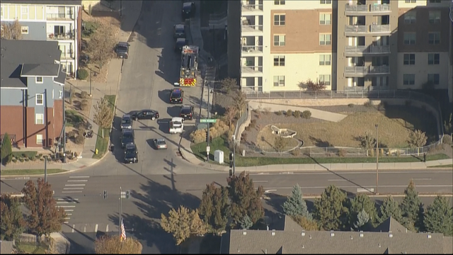 PARK MEADOWS DEATH 10VO.transfer_frame_0 