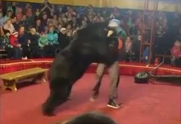 russia-bear-attack-circus.jpg 