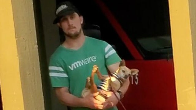 animal-cruelty-suspect.jpg