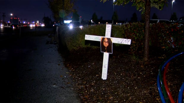 Touhy Avenue Deadly Stretch 