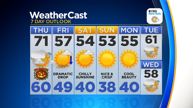 Nu_Tu_7Day_Auto_Logo 