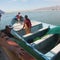 The Last Vaquitas