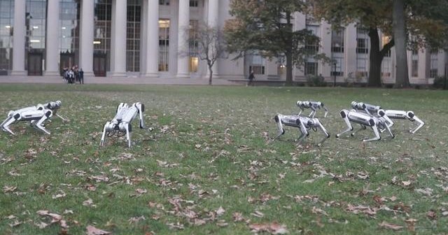 MITs virtually indestructible mini cheetah robots show off flips