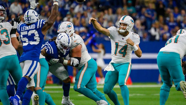 Miami-Dolphins-1110.jpg 