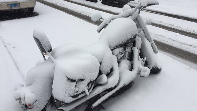 Cycle-In-Snow.jpg 