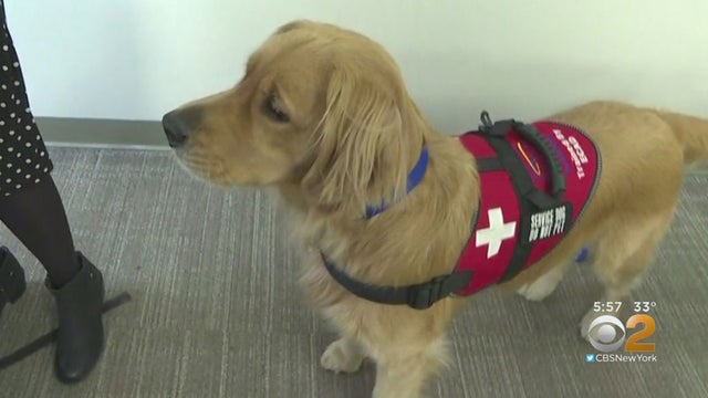 spiritpaceuniversity1