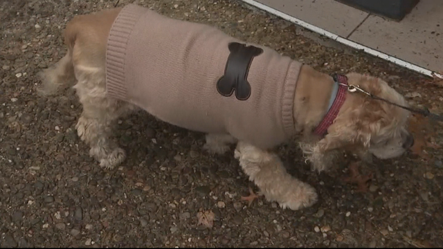 SOUTH JERSEY WEATHER 