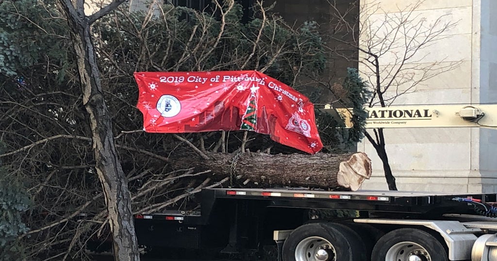 Officials Set Up Pittsburgh Christmas Tree Before Thanksgiving CBS